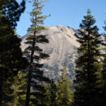 A gray, granite mountain rises behind tall, green fir trees under a clear blue sky